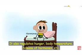 什么是时差反应？