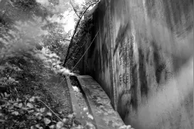 三兄妹为逃票欲翻墙进猛兽区被制止 自称走错了路图片