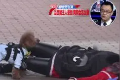 《你会怎么做》：主人晕倒街头 忠犬向路人求救图片