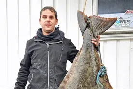 挪威渔夫捕到百斤重比目鱼破世界纪录图片