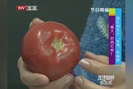没有汁的西红柿你敢吃吗？这种番茄是催熟催大的，食用过量危害大
