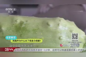 西葫芦长疙瘩是感染了花叶病毒，那食用这种西葫芦对人体有危害吗