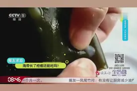 海带泡发后竟出现小疙瘩，那这种长疙瘩的海带还能食用吗？看一下视频封面