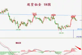 浅析铂金空头操作思路图片