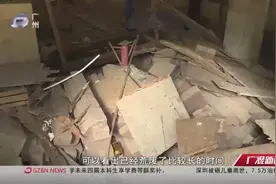 海珠桥景观升级改造，计划打造桥底广场，市民：是件好事！视频封面