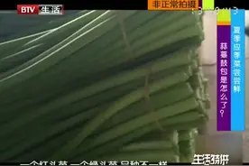 如何辨别新老蒜薹呢？这里面有妙招，蔬菜商贩来给您解答视频封面