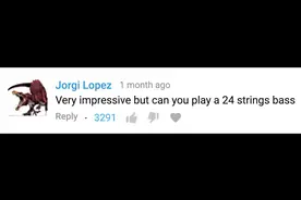 24弦贝斯是怎么弹得