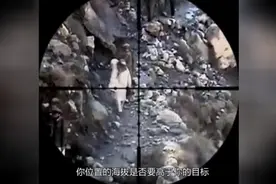狙击手的特殊训练：心理自律训练，通过控制呼吸瞄准目标，厉害了