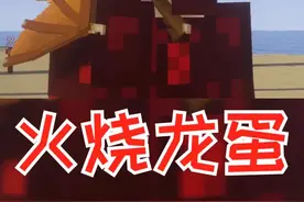 #我的世界 #游戏 孵化火龙蛋，小火龙可以坐到我的肩膀上耶。