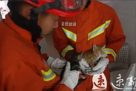 两只小猫钻进烟道上演“躲猫猫”，宿迁消防破拆后成功救出图片