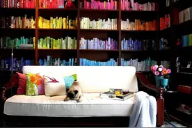 书架容易积尘 懒惰的我该怎么办？图片