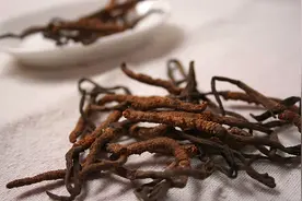 冬虫夏草怎么吃 这样吃才健康图片