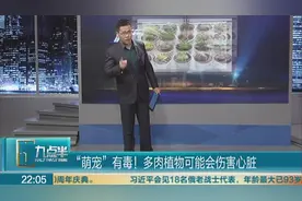 多肉植物界的五大传说，你相信了吗？视频封面