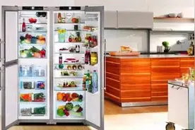 夏季 别让冰箱成重灾区图片