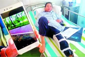 树上掉落枯枝，行人被砸骨折，园林部门将对树木进行修剪图片