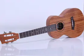 尤克里里初学者必学三大购琴技巧 揭秘尤克里里最好的牌子图片