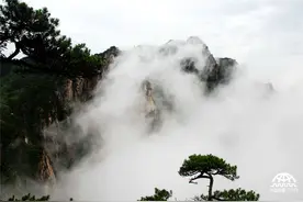 黄山六月天 多雨水多瀑布多云海图片