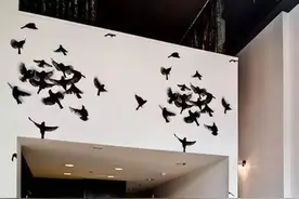 家里的白墙看腻了，淘几款创意的墙贴吧！图片