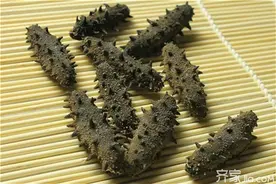干海参的加工工艺 一斤干海参多少钱图片