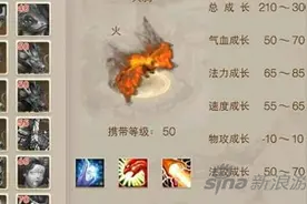 问道手游宠物有哪些 问道最全宠物搭配攻略图片