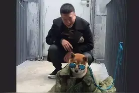 孙红雷和黄渤这两只单身狗，承包了今天所有的笑点图片