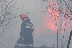 新疆伊宁市芳草湖的芦苇荡发生火灾 过火3000平方米图片