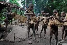 传说中神秘族群 8岁就要生儿育女的原始部落（特瓦族俾格米人）图片