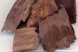 奇妙的熏香疗病法——沉香图片