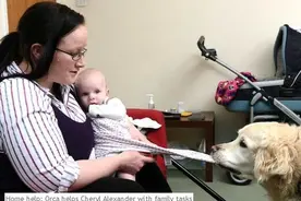 残疾的她养了狗狗，没想到再也不操心带孩子了，宝宝每天都被甜醒图片