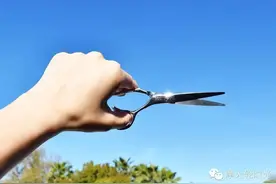 不求人 ‖ 我是这样给自己剪头发的！你学你也会！图片