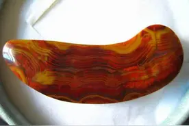 带你走进战国红图片