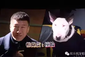 友谊的小船说翻就翻？孙红雷和张艺兴已登上了巨轮了好嘛！图片