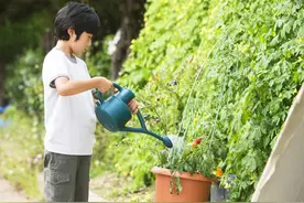 生活废水竟然是最好的浇花花肥！大多数人知道却没用过！图片