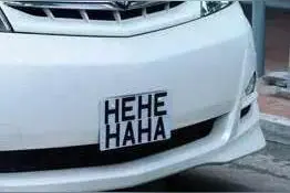 世界最美汽车牌照中国排第......图片