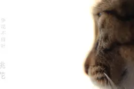 其食小事‖春天约会，让土掉渣的他做成一道别致的英式美食图片