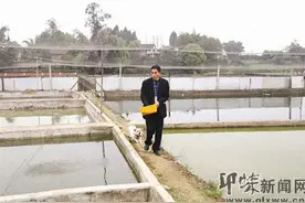 养泥鳅“养”出一条致富路图片