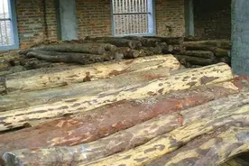 一个小叶紫檀手串的艰辛历程，你一定想不到！图片