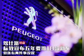 标致五年要推18款新车，但有两件事没说图片