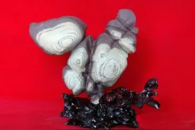 “小鸡出壳”的烦恼图片