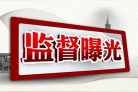 贵港市人民政府常务副市长黄志光等2人被调查图片