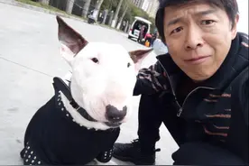 孙红雷黄渤撞脸汪星人，相似度100%惊呆众人！到底谁更像狗？图片