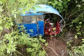 安岳一老年助力电动三轮在急弯处速度过快，冲下山崖图片