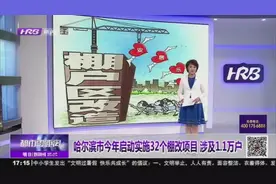 哈尔滨市今年启动实施32个棚改项目，计划征收总投资124.3亿元视频封面