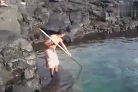 牛人用祖传方法海边插鱼，提起来的大鱼岸边的人都吓到了