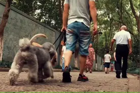 带你们去玩的地方都是真实的城市生活场景，多练多看有礼貌有规矩