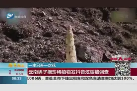 男子边手撕植物，边拍视频传上网炫耀，网友：你摊上大事了