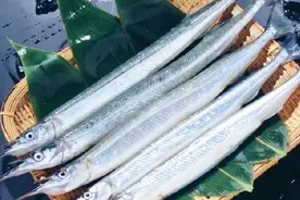 男子海边钓获尖嘴怪鱼，细长的身子，嘴巴像根针，做成刺身很美味