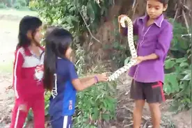 实拍柬埔寨小孩居然拿蛇当玩具，吓死我了！视频封面