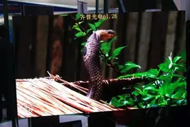 看广州LED展览聊小间距LED显示屏图片