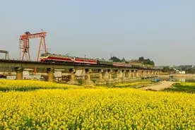 19趟“Y”字头旅游专列即将开行 绿皮车可开窗通风图片